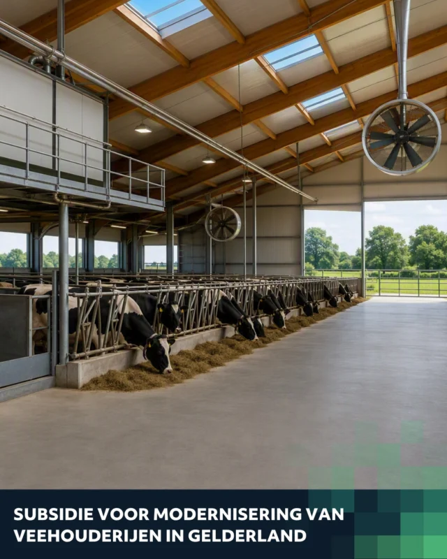 𝗦𝘂𝗯𝘀𝗶𝗱𝗶𝗲 𝘃𝗼𝗼𝗿 𝗮𝗺𝗺𝗼𝗻𝗶𝗮𝗸𝗿𝗲𝗱𝘂𝗰𝘁𝗶𝗲 𝗶𝗻 𝗚𝗲𝗹𝗱𝗲𝗿𝗹𝗮𝗻𝗱 🐄

Wil je als veehouder in Gelderland investeren in maatregelen en technieken voor ammoniakreductie? Met de subsidieregeling Modernisering Veehouderij Gelderland kan je tot wel € 600.000 subsidie per aanvraag ontvangen.

‼️𝗕𝗲𝗹𝗮𝗻𝗴𝗿𝗶𝗷𝗸: Aanvragen worden behandeld op volgorde van binnenkomst. Wacht dus niet te lang en bereid je aanvraag nu voor.

𝗪𝗶𝗹 𝗷𝗲 𝘄𝗲𝘁𝗲𝗻 𝘄𝗮𝘁 𝗱𝗲 𝗺𝗼𝗴𝗲𝗹𝗶𝗷𝗸𝗵𝗲𝗱𝗲𝗻 𝘇𝗶𝗷𝗻 𝘃𝗼𝗼𝗿 𝗷𝗼𝘂𝘄 𝘃𝗲𝗲𝗵𝗼𝘂𝗱𝗲𝗿𝗶𝗷? Bekijk de subsidieregeling: https://subvention.nl/agrarisch/moderniseren-veehouderij-gelderland-ammoniak-reductie